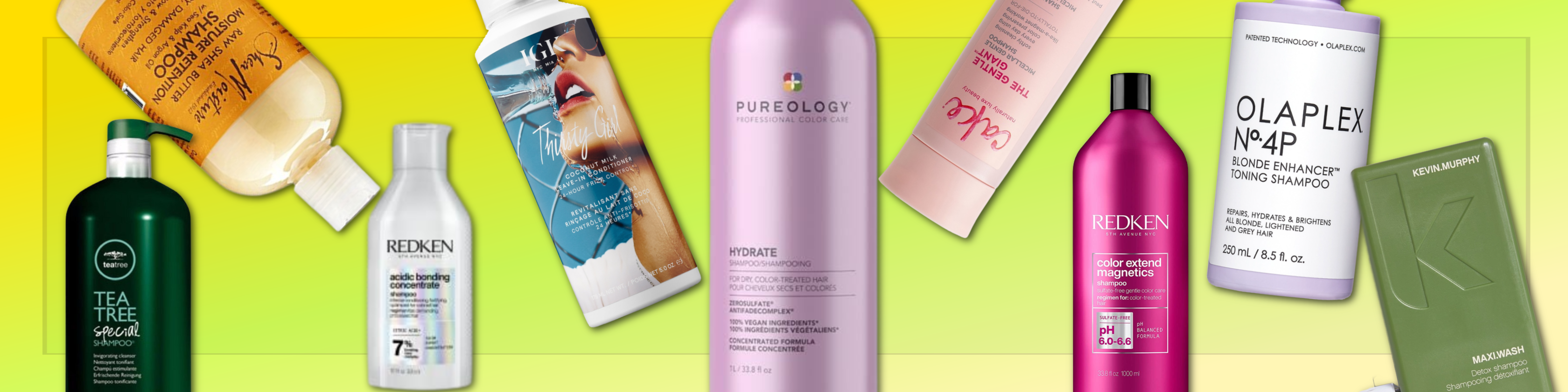 shampoo banner shampoo