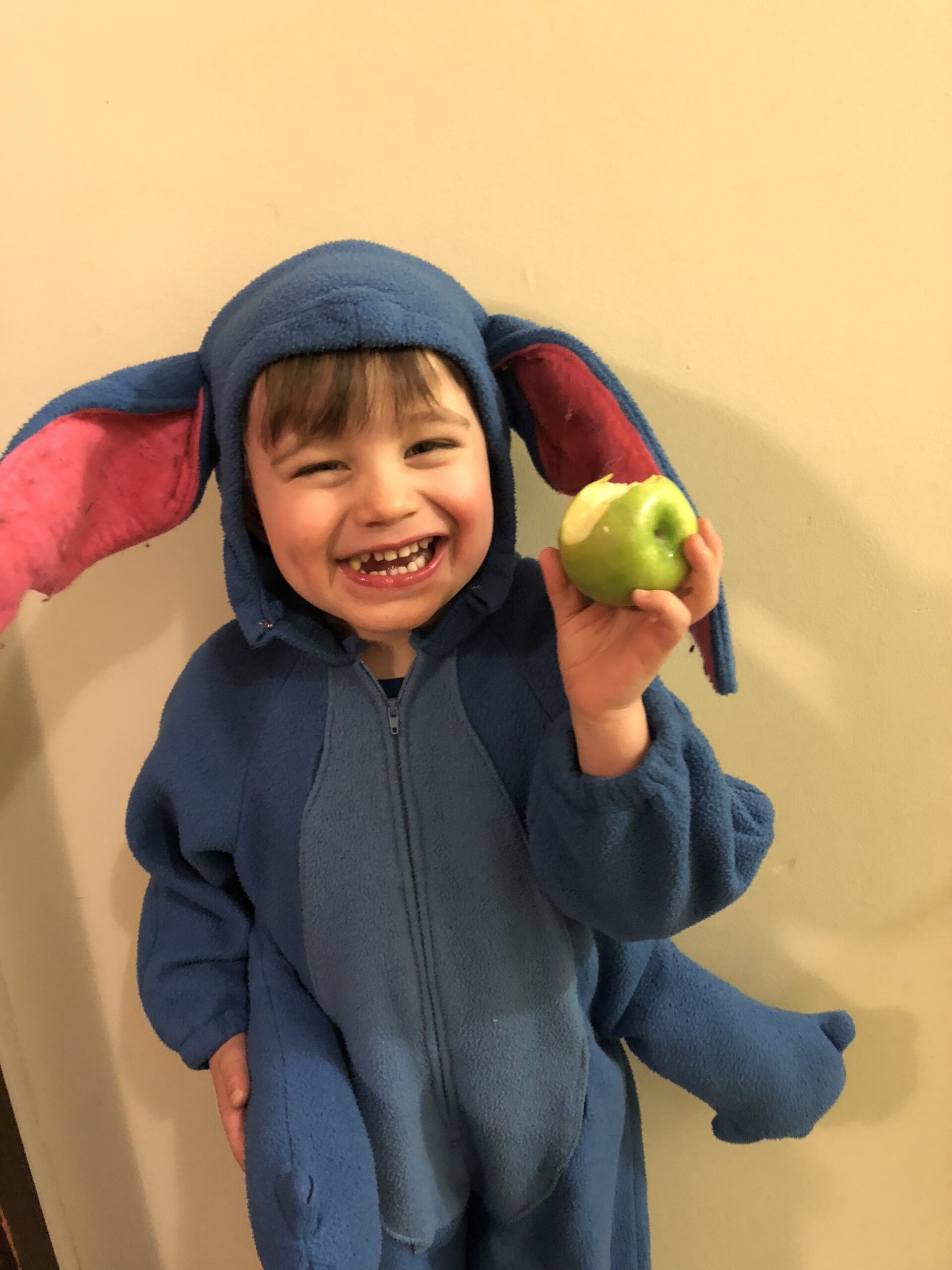 This Stitch costume was handmade