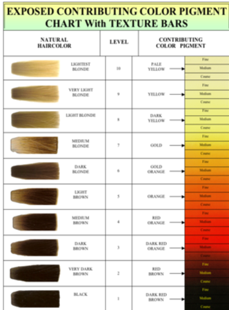 CC-Chart-_-Texture-Bars