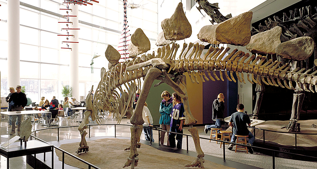 Science-Museum-Minnesota-Visit-Lakeville-Attractions
